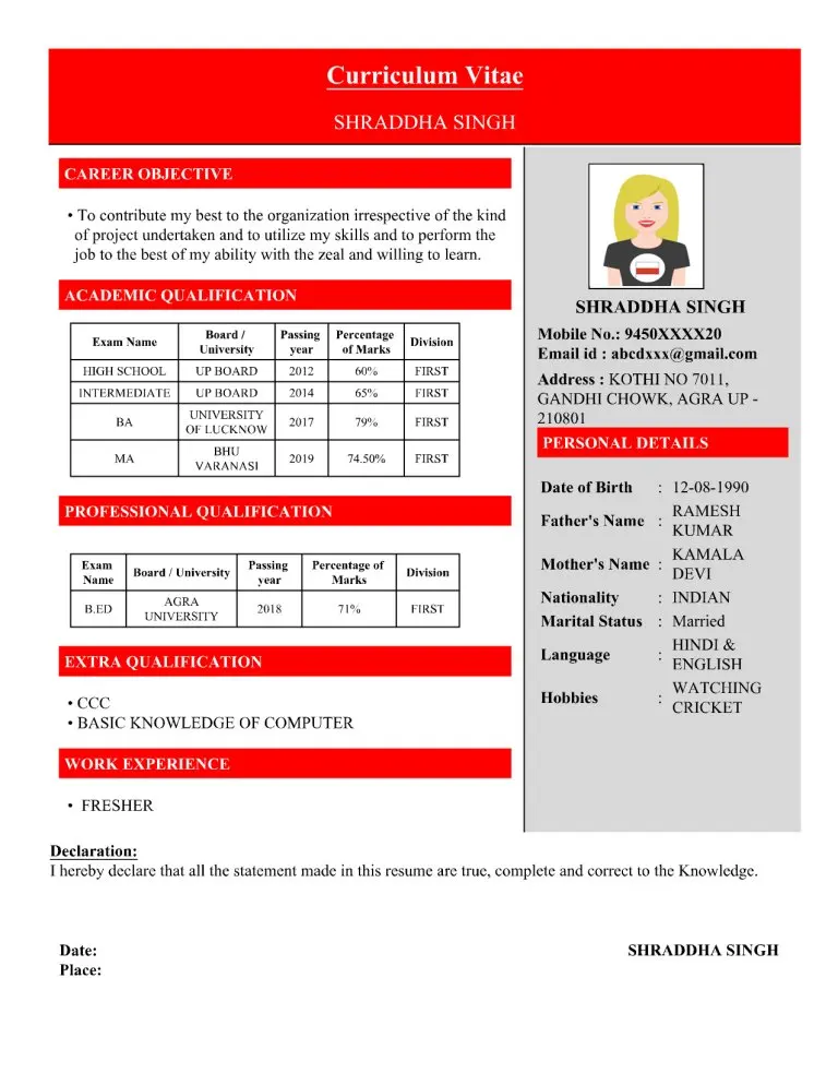 Professional Resume Template